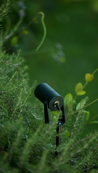 Platek Nano